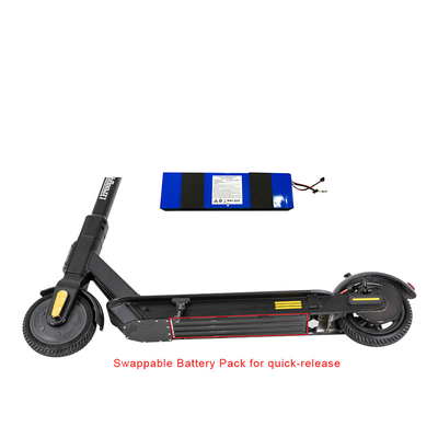 Approbation portative de FCC de la CE d'Ion Battery For Electric Scooter du lithium 13v 18650