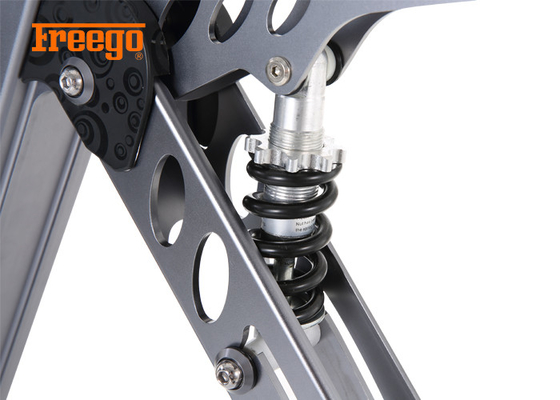 le vélo 250W électrique pliable léger/filent le temps de remplissage du vélo 3-4h d'E